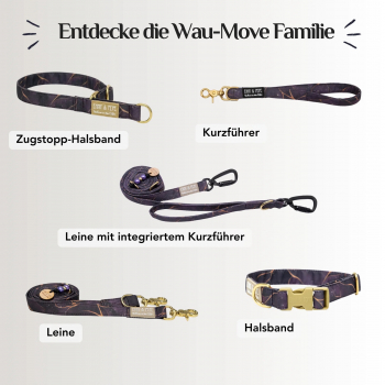 Preview: Emmy & Pepe Hundegeschirr Golden Plum