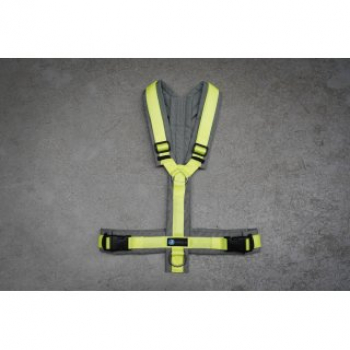 Harness Fun grey-lemon