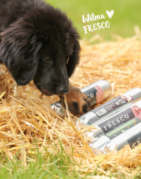 FRESCO Kennenlern Paket BarfWurst | 5 x 400 g