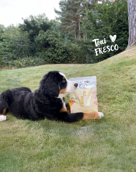 FRESCO Trockenfutter unico trocken Huhn Welpen