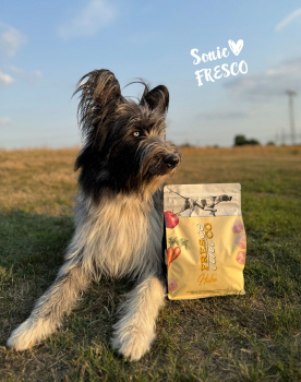 FRESCO Trockenfutter unico trocken Huhn