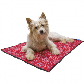 Aqua Coolkeeper XL 90x80 cm Red Western
