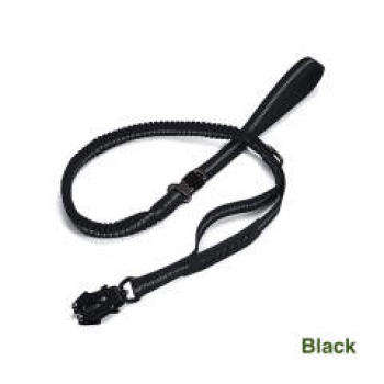 Multifunctional Leash