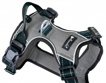 Preview: Petlando Magnetech Geschirr  Anthrazit/Schwarz