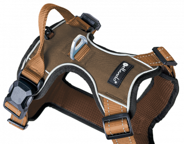 Preview: Petlando Magnetech Geschirr braun/mokka