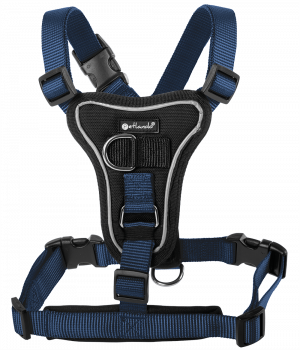 Petlando Basic Comfort Harness blue