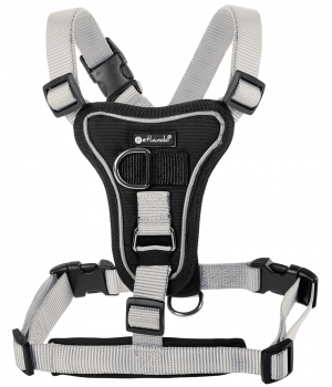 Petlando Basic Comfort Harness silver