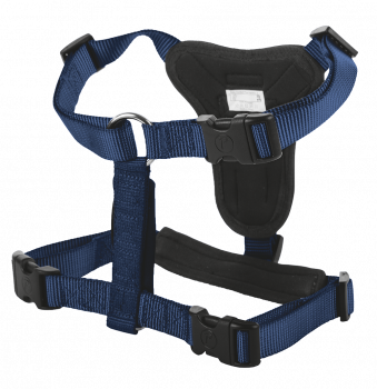 Petlando Basic Comfort Harness blue