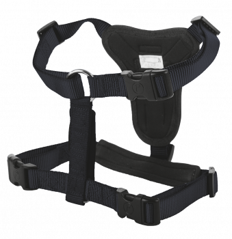 Petlando Basic Comfort Harness black