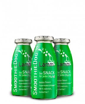 SmoothieDog Lamm | 3er-Pack (3x 250ml)