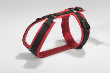 Anny-X Brustgeschirr Fun rot Gr. XL