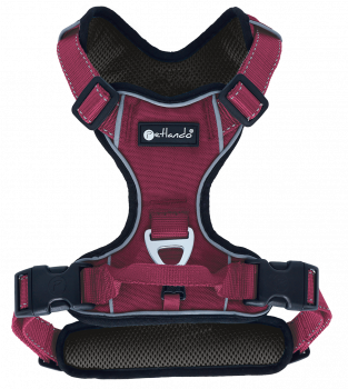 Petlando Outdoor Harness berry