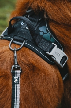 Hurtta Geschirr Weekend Warrior harness schwarz