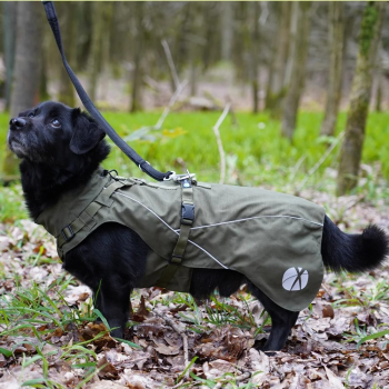 Preview: Mantelgeschirr Fun Oliv