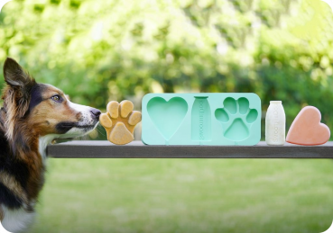 Preview: SmoothieDog iceform