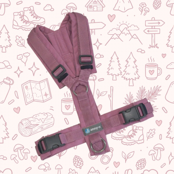 AnnyX Harness Fun Rosenholz