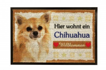 Doormat Chihuahua