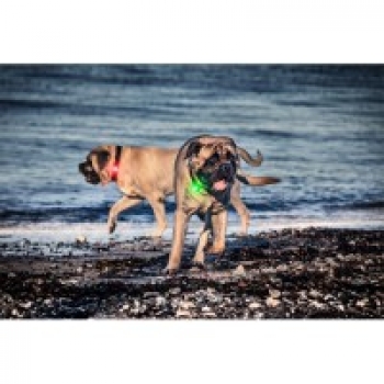 Orbiloc Dual dog lamp | pink