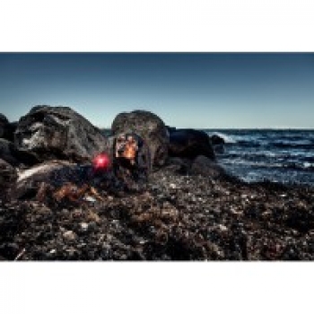 Orbiloc Dual dog lamp | pink