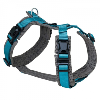 Petlando Magnetech Y - Comfort Geschirr Anthrazit/Petrol