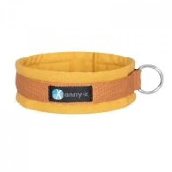 Anny X dog collar Fun goldbell