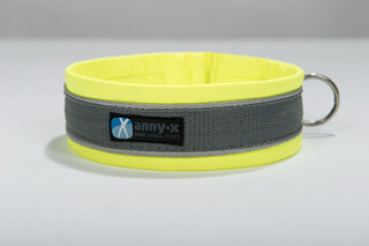 Anny x dog collar protect yellow/grey