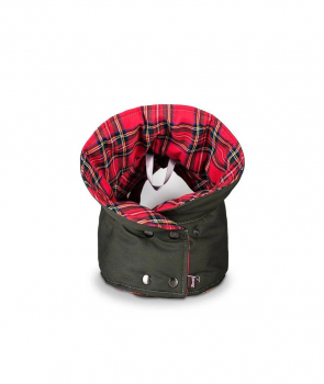 Brottdog dog coat Tremp green