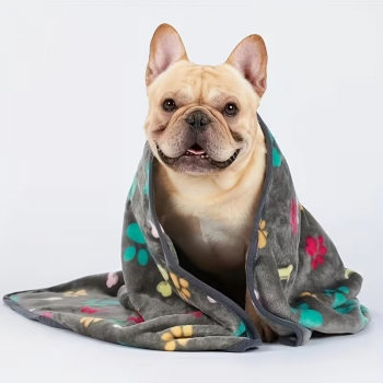 Preview: Prinz Poldi Flanell-Wärmdecke beige,  104cm x 76cm