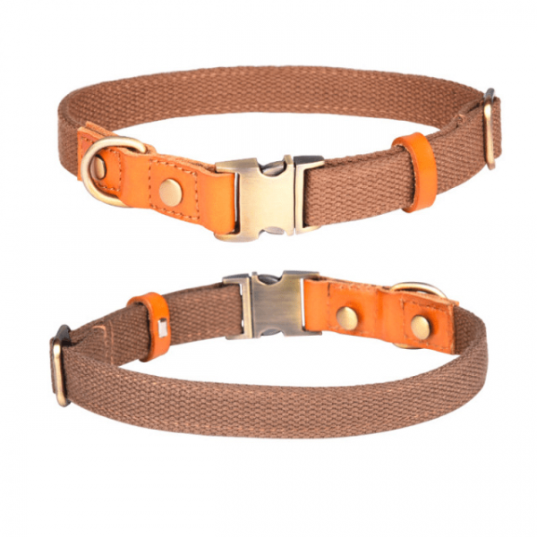 Prinz Poldi collar brown