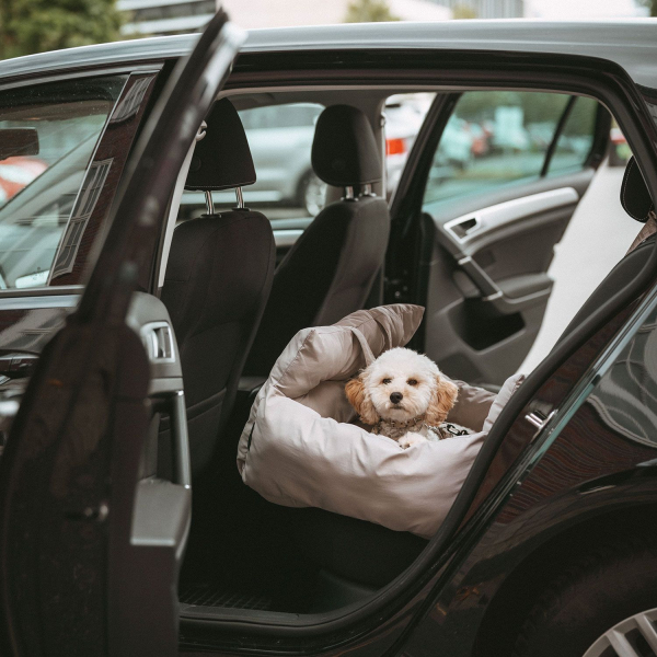 2-in-1 Car seat and travel cot Seoul