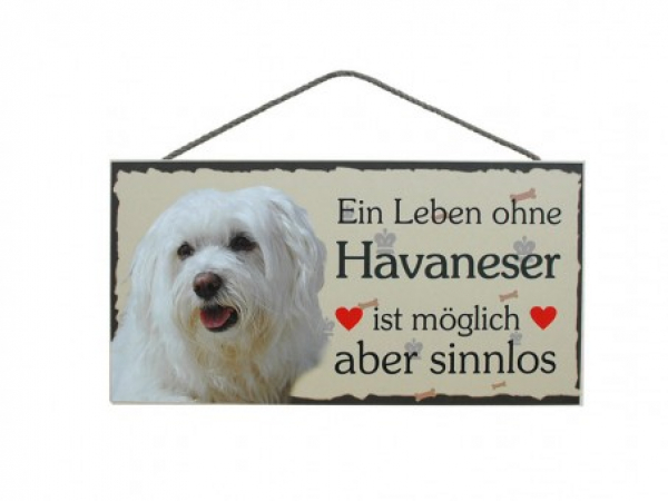 Hundeschild Havaneser