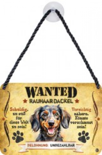 Pet Sign Peaceful Dachshund