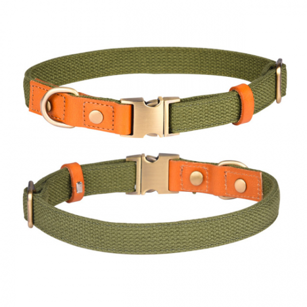 Prinz Poldi collar green