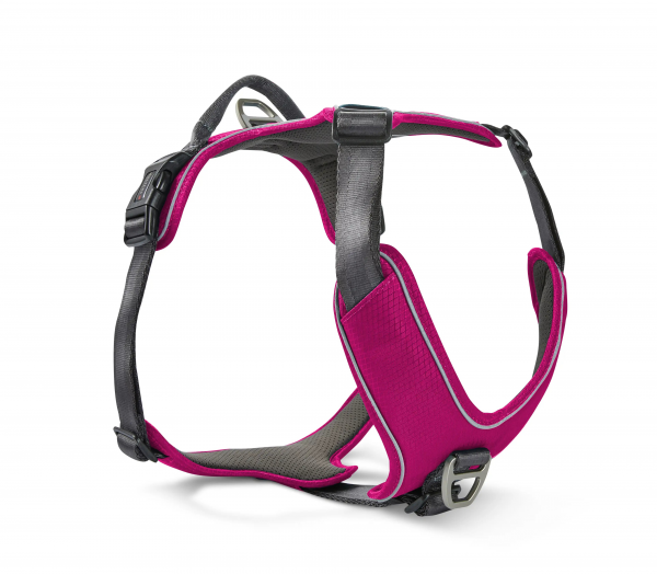 Wolters Active Pro Comfort Geschirr magenta/anthrazit