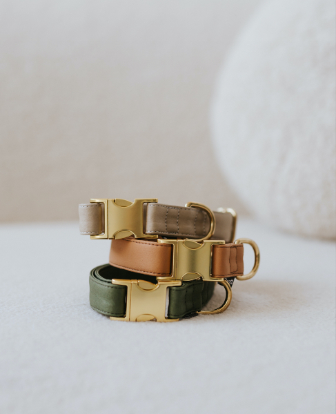 Brott Collar "Green Musk" - vegan leather with golden clasp