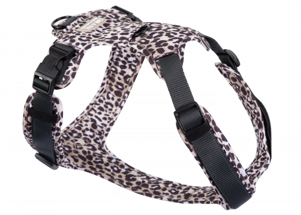 Emmy & Pepe Hundegeschirr   Leo   Dark