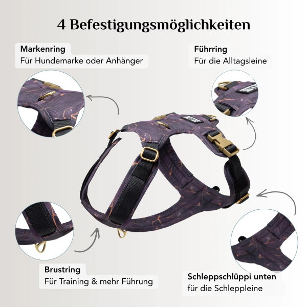 Emmy & Pepe Dog Harness Golden   Plum