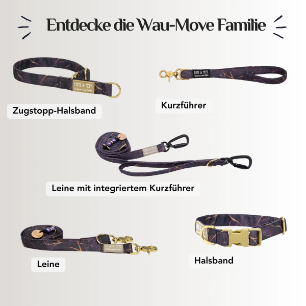 Emmy & Pepe Dog Harness Golden   Plum