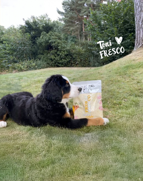 FRESCO Trockenfutter unico trocken Huhn Welpen