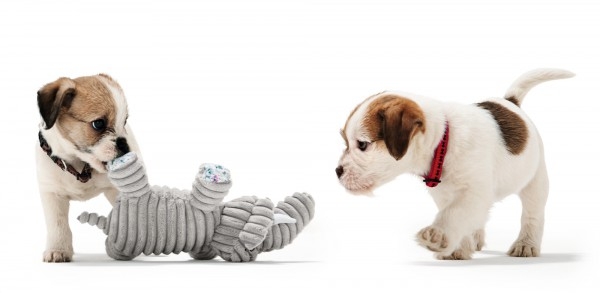 Hunter Hundespielzeug Huggly Hippo