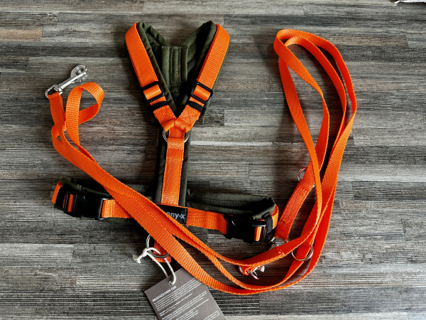 DOGFELLOW Leash simply adjustable orange