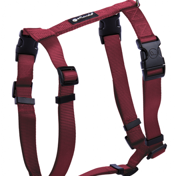 Petlando Basic Comfort Harness bordeaux