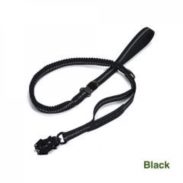Multifunctional Leash