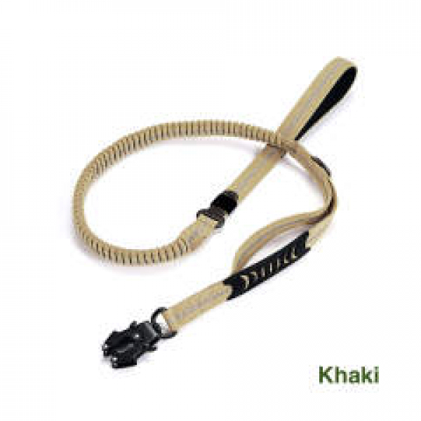 Multifunctional Leash