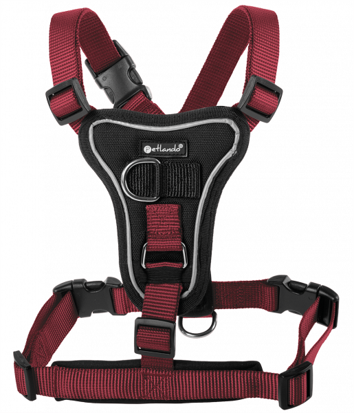 Petlando Basic Comfort Harness bordeaux