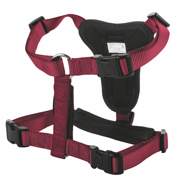 Petlando Basic Comfort Harness bordeaux