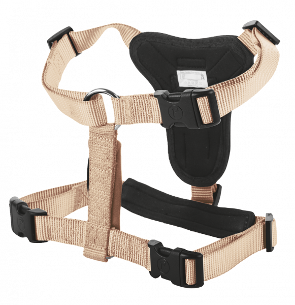 Petlando Basic Comfort Harness champagne