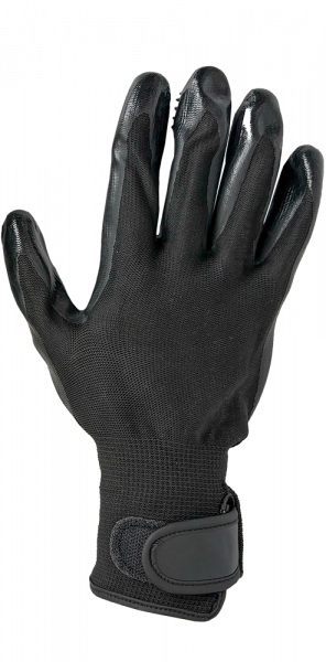 Petlando Grooming Coat Care Glove (2X)