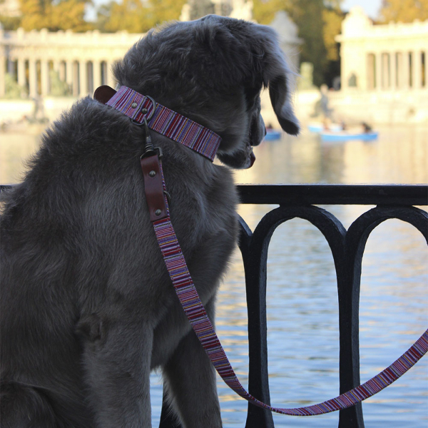 Ladran Gaucho  Double or Multiposition Leash