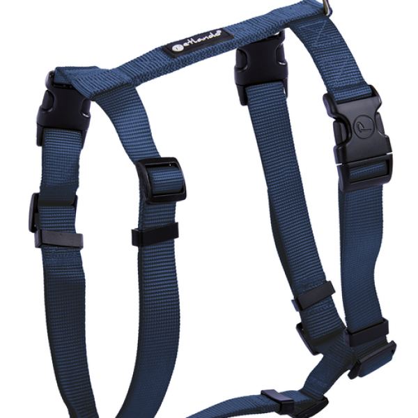 Petlando Basic Comfort Harness blue